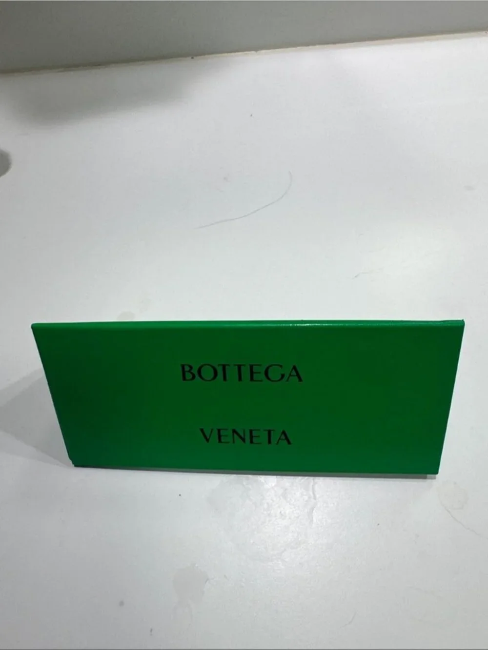 Bottega Veneta stylish cat
